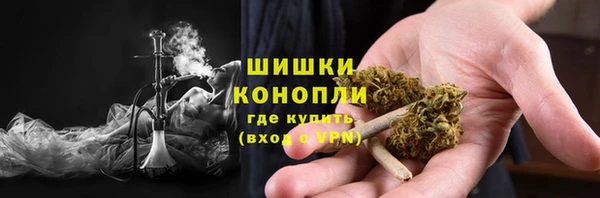 прущие грибы Переславль-Залесский