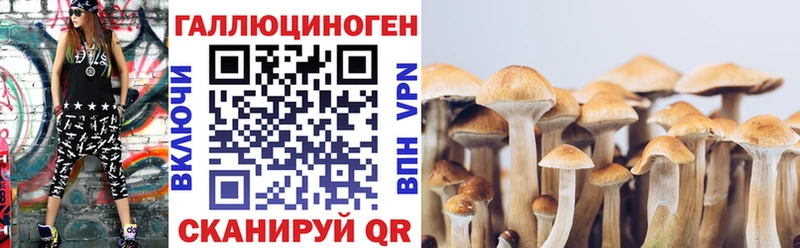 Галлюциногенные грибы прущие грибы  Тетюши 